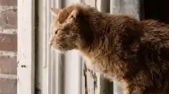 Это мы 2 сезон 12 серия